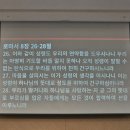 요나목장 이미지