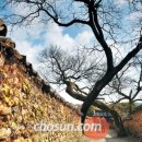 산청전통한방휴양관광지 이미지