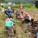 김우영 농장 이미지