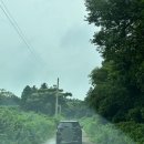 가사목장 | 👰🏻‍♀️제주도스냅촬영 후기｜헬퍼훈스냅 이승건 작가님과 숲·들판·목장·바다 촬영✨