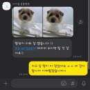 신내동물병원 이미지