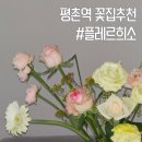 플레르희소 | 평촌역꽃집 플레르희소 트렌디한 꽃다발 후기