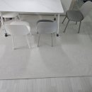 원진세탁소 | 32평 거실(주방)러그 내돈내산 리얼 후기와 관리 꿀팁 - 러그 추천 완전 정복