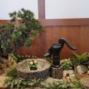 물베기한정식 이미지