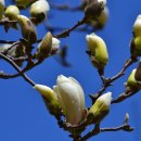 KB당구클럽 이미지