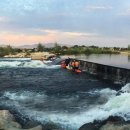 AWESOME POM 이미지