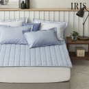 아이리스 이미지