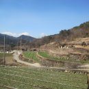 남해-253 이미지