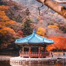 (주)옥천현대상용서비스 | 옥천 관광 추천코스, 관광지, 맛집 5곳(총 15곳)