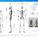 블러썸PT 이미지
