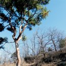 화가이인성기념비 이미지