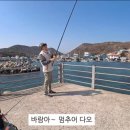 칠포항펜션