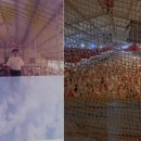 유상준농장 이미지