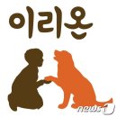 디비에스 주식회사 이미지