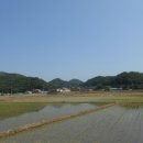 연천읍-7 네이버블로그