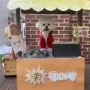 아이조아펫파크 동탄점 이미지