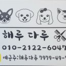 해루다루 이미지