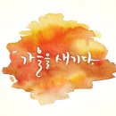 캘리그라피(자격증) 이미지