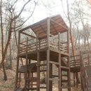 입화산참살이숲야영장 이미지