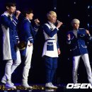 샤이니독 이미지