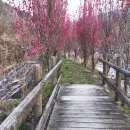 다리목여관 이미지