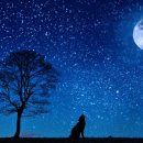 신평1동-1 이미지