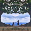 성흥산 화장실 이미지