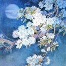 "벚꽃 (Cherry Blossom)" 그림 모음 이미지