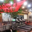 이지피티 이미지