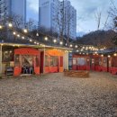 고방골오리 이미지