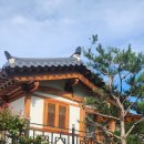 영진전기 | 강릉 영진더한옥 숙소 체험 후기 🏡