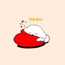 남궁농장 | 토스카나 렌터카 여행 Podere Belvedere｜강아지랑 이탈리아 한 달 살기 EP.35