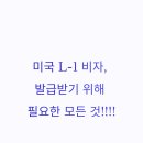 L-1 이미지