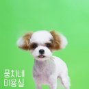 뭉치네 미용실 이미지