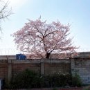 사르락잡화점