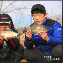 해남교차로  마산교차로 이미지