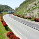 완도13호 이미지