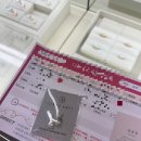 시크릿다이렉트 | 부산 다이렉트웨딩 솔직후기｜결혼준비 비용 아끼는 방법