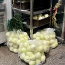 시흥대로115길 이미지