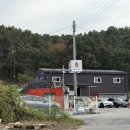 서울애견 | 서울근교 캠핑식당 애견동반 용인 글램핑 고고캠 후기