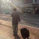 우리끼리타코야끼 이미지