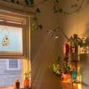 sunshine o 이미지