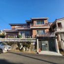 사파동254 이미지