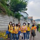 안양3동주민센터 이미지