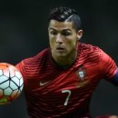 이든네이처 송탄이충지사 이미지