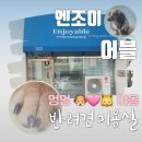 엔조이어블 이미지