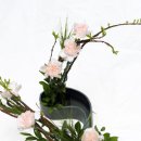 동양꽃꽂이 이미지