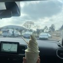 삼인목장 | carpe diem