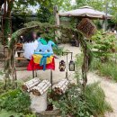 cafe(카페)도토리