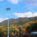 뜬봉샘농장 이미지